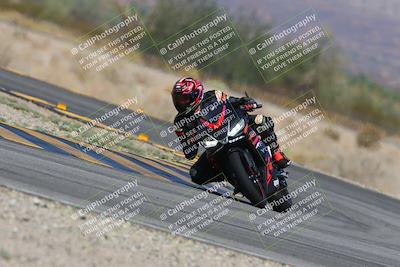 media/Oct-05-2024-Race Pace (Sat) [[aa7b44e117]]/9-Turn 14 (1135am)/